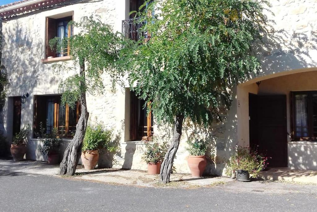 Chez Sheila Διαμέρισμα Cucugnan Εξωτερικό φωτογραφία